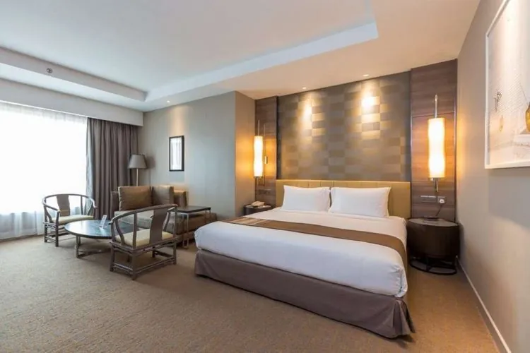 Hotel guest room with dark wood feature wall